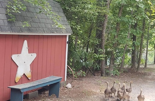 Corbin Cabin | The Horseshoe Pond Cabin-15 min to historic Fredericksburg or Kings Dominion VA