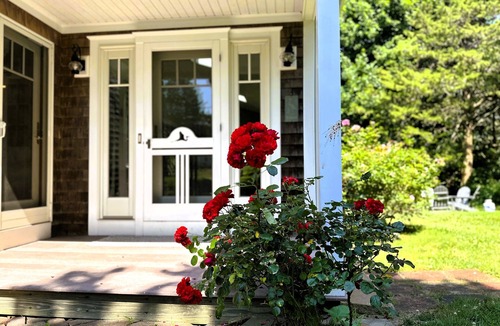 Eastham House | The Pet-Friendly Surf Shack Hideaway on the Cove