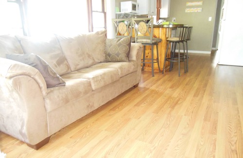 Lake Erie Beach House | The Zen Den close to the beach and Mickey Rats