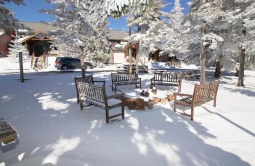Edray House | Treetop 29 Boards and Bikes Secluded Luxury Next to the Village