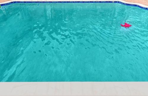 Downtown Hollywood House | Tropical Oasis With heated pool 10 mins airport & 5 mins Beach