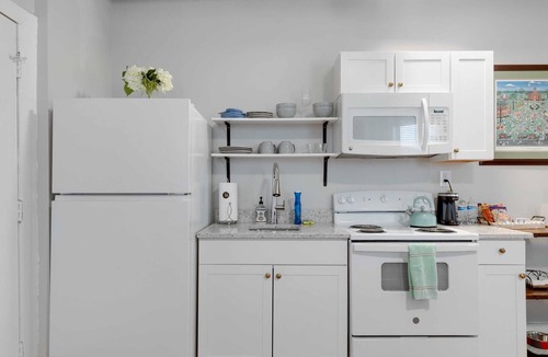 Fan District Apartment | Urban Bloom/King Bed/2TVs/Free Parking/Museums