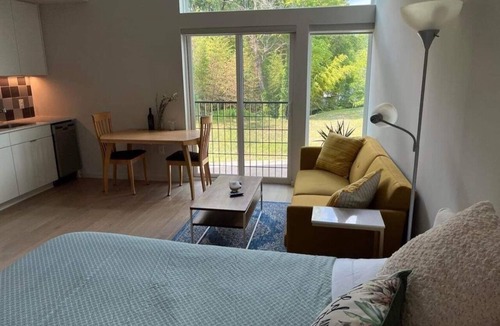 Downtown Apartment | Urban/Modern Living Studio in the Heart of Downtown Durham