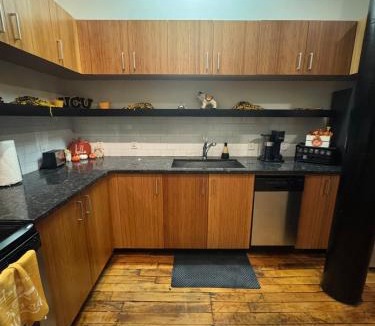 Downtown Richmond Apartment | VCU Area Gem Cozy 1BR Downtown RVA