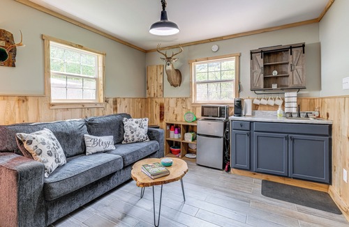 Glace Cabin | Virginia Nature Escape! Cozy Covington Cabin