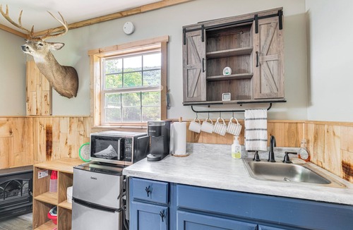 Glace Cottage | Virginia Nature Escape! Cozy Covington Cabin