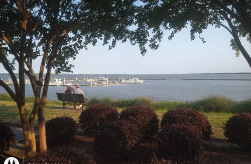 Kingsmill Apartment | Walk to beach, large room on wooded lake, "Kingsmill on the James"