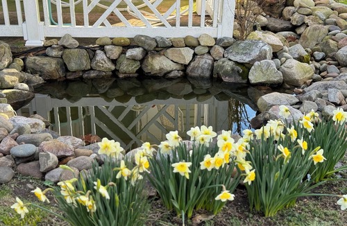 Bayview House | Walk to Beach! Spacious 4-bedroom house in charming Norfolk-this home has it ALL