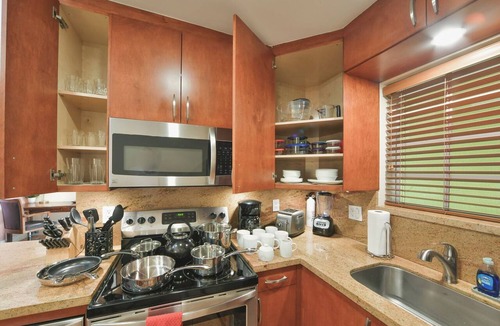 Wilton Manors Apartment | Walk to GAY Wilton Drive, Pool, Queen Bed, Kitchen, Living Room, Patio, WiFi, #3