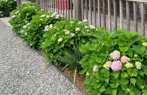 Nantucket Town House | Walk to Town! Located at the top of Historic Main Street