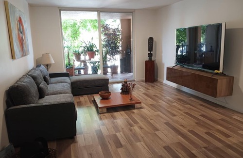 Aventura Apartment | Walking distance to Beach and Mall Cozy modern apartment relaxing view of trees