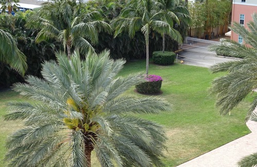 East Ocean Ave Condo | WATERFRONT 2BD 2BTH PH UNIT HUGE SOUTHERN EXPOSURE WATERVIEWS
