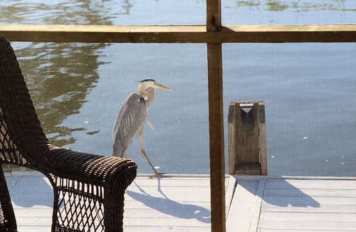 Selbyville House | Waterfront, 3 Bedroom Home in Quiet, Canal Community, 10 Mins from Ocean City MD