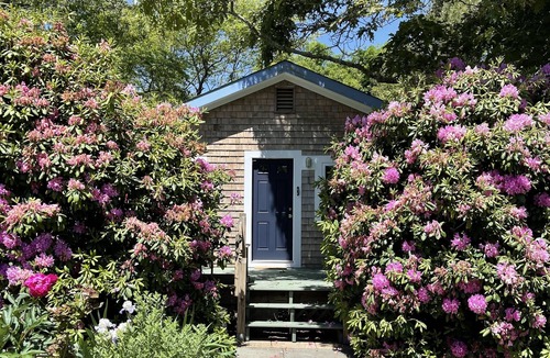 Oak Bluffs Cottage | Well-loved, classic OB Cottage w/updated essentials and an unbeatable location.