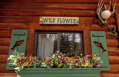 Bigfork Cabin | Wildflower Log Cabin with firepit & mountain views