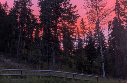 Kalispell Apartment | Wooded acreage with creek- 10 minutes to town