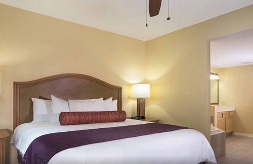 Survey Creek Resort | Wyndham Palm-Aire Resort – 1-Bedroom Condo in Fort Lauderdale