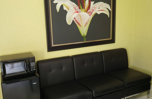 Little Haiti Apartment | Wynwood Miami Tropical Hideaway Guest Suite
