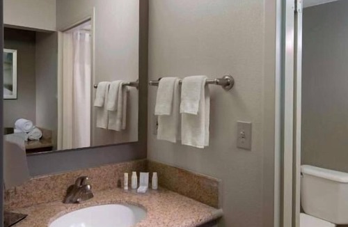 Boca Raton Hotel | Your Sunny Escape, Minutes to Boca Raton Beach, Pet-Friendly, Free Parking, Pool