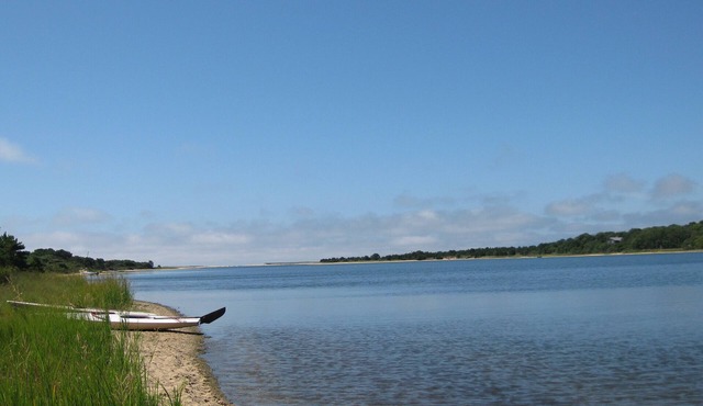 1,500' Shore on Deep Bottom Cove, Tisbury Great Pond