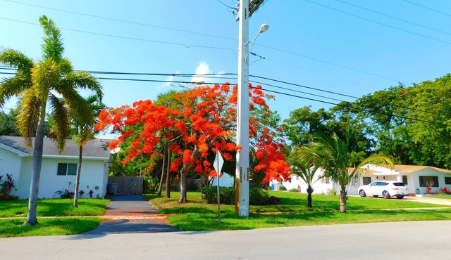 2HOMES Side By Side,8Bedroom,6.5 Bath,14Beds,32,000 Sq ft land, MIAMI WORLD CUP!