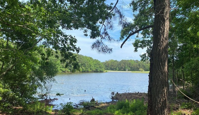 3 Br/2 Bath Waterfront Vacation Home-Pet Friendly