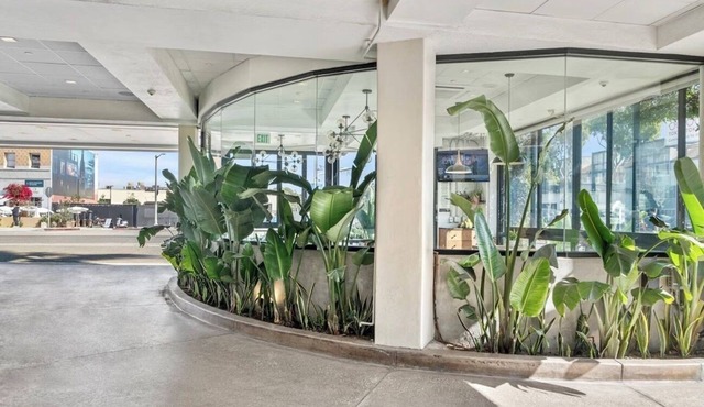 4 Ocean Views & Bold Style in Prime Location | Few steps from Pacific Beach