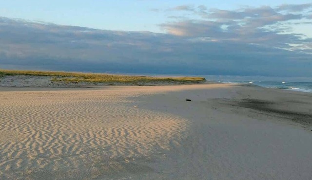 5 Min Walk to Saltwater/Boat Launch, 5 Min Drive to Nauset Beach, Full A/C