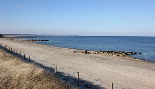 60 Ploughed Neck Rd - Pet-Friendly, .5 Mile to Beach, Central A/C, Spacious Yard