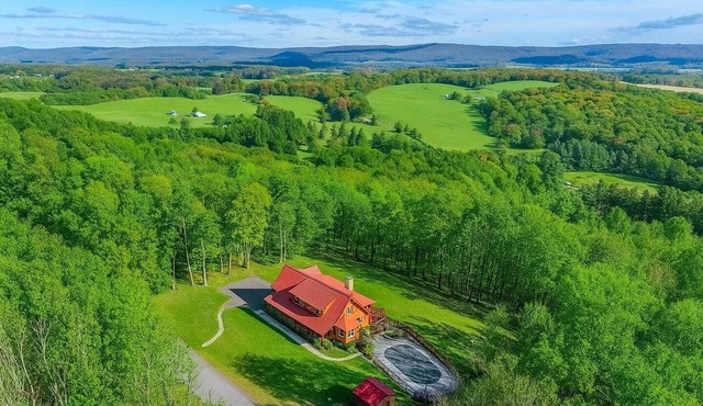 7BR Luxury Log Home, pool, hottub, near Deep Creek