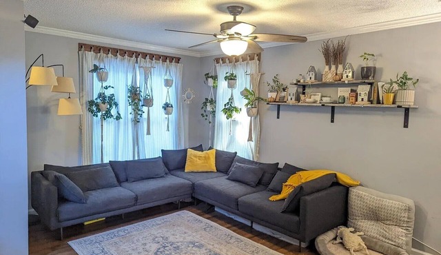 9 Min Walk Downtown, Cozy House, Private Yard
