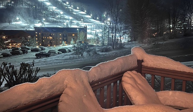 ❄️⛷A short walk to Holiday Valley adventures and 1 mile from the village🏂❄️