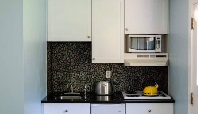 Adorable Studio - Stroll to UM, River & Downtown