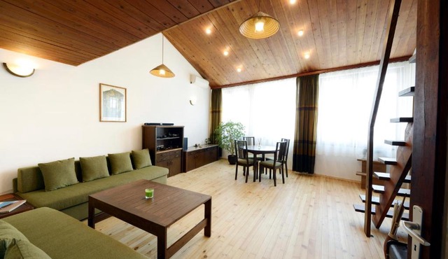 Artistic penthouse in Sofia