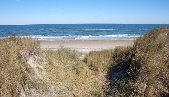 Beach Lovers Delight 3 Bedroom Cottage by RedAwning
