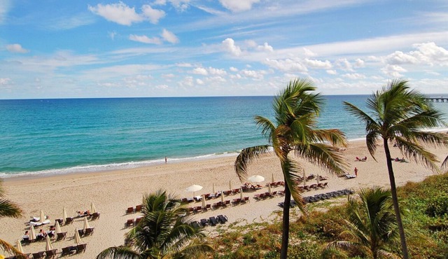 Beachfront Accommodation! 2 Relaxing Rooms | FREE Parking + Onsite Pool in Palm Beach