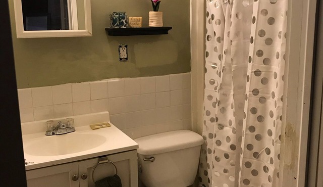 Beautiful north Buffalo home steps from Hertel ave and Delaware Park