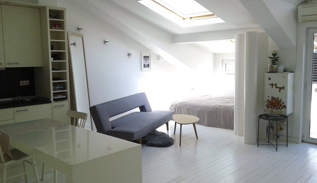 Beautiful open-space apartment by Vitosha Mountain in Sofia