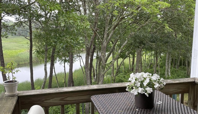 Beautiful Riverview Condominium