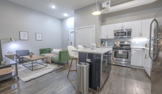 Boston Common Loft with Washer Dryer