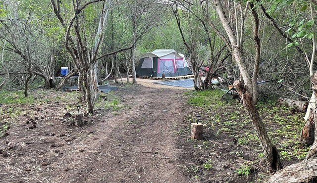 Charming cabin tent campground in peaceful Frenchtown for your getaway