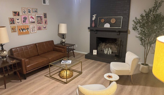 Chic 3 Bedroom Midcentury Modern Retreat in Wonderful Greensboro