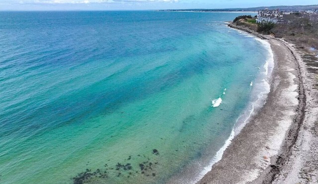 Classic Cape Cod Cottage: Prime Location & Private Association Beach Access