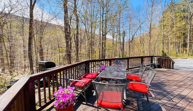 Close to Phoenicia, Woodstock Brewery, Belleayre, Mountain View, Backyard Stream