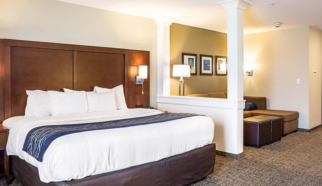 Comfort Inn & Suites Niagara Falls Blvd USA