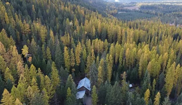 Cozy Mountain Bungalow for camping, relaxing, & exploring