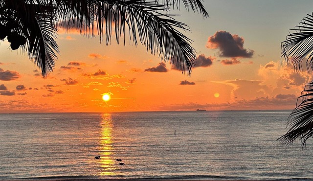 Direct Oceanfront Studio in Lauderdale by the Sea