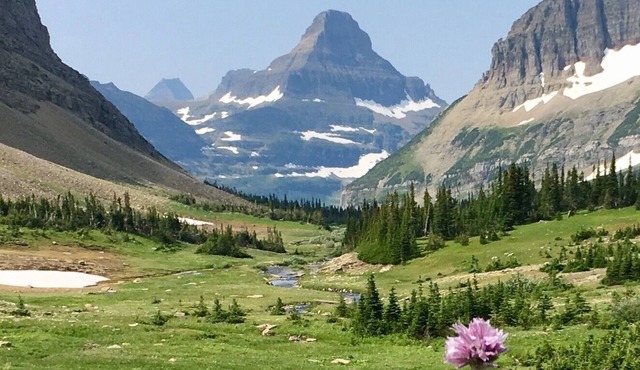 Downtown Dog Friendly Columbia Falls Home Centrally located to GNP and Whitefish