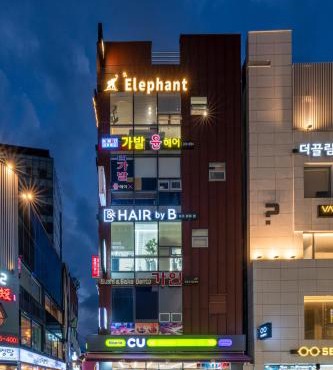 Elephant in Busan