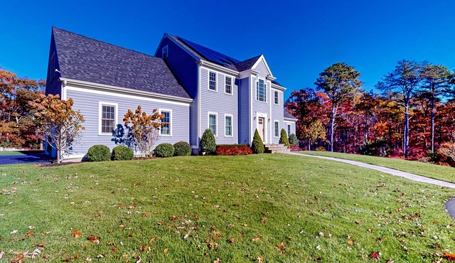 Entertainer's dream with plunge pool, outdoor kitchen & TV, game room